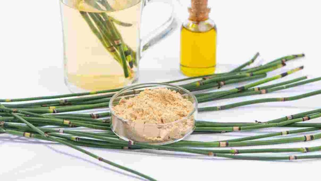 Horsetail Extract - Best Home Remedy for White Patches on Skin 